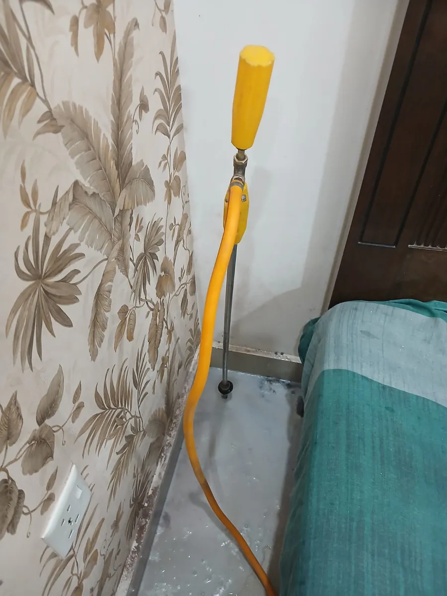 Bed bug treatment being carried out in a residential room in Lahore