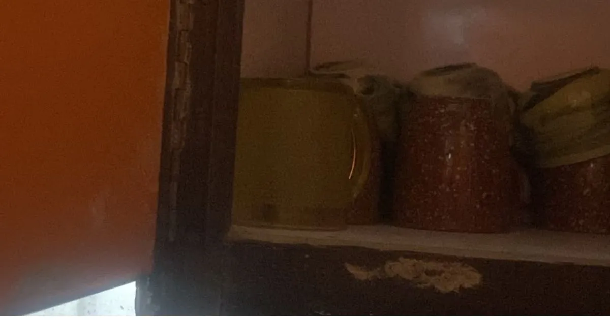 Kitchen cabinet shelf inspected during pest control visit in Lahore