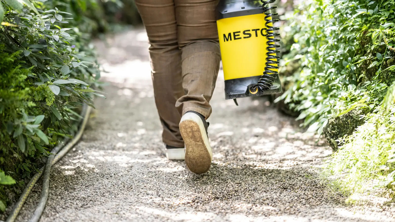 Outdoor mosquito control fogging treatment in garden area, Lahore