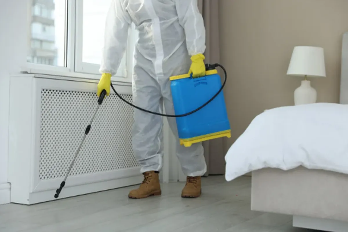 General pest control spray treatment in residential bedroom, Lahore